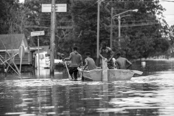 In the Flood 2016